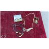 Image 6 : Assorted Fashion Jewelry: Rings, Necklaces, Brooches, Earrings, and More