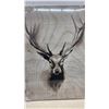 Image 4 : New IKEA Pjätteryd Canvas Print, Deer Head on Wood Plank, 27 1/2 x 39 1/4"
