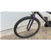 Image 3 : Triumph Criterium Mountain Bike 26"