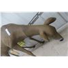 Image 2 : Full Body Deer Doe Decoy