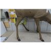 Image 3 : Full Body Deer Doe Decoy