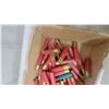 Image 3 : 10 Gauge Ammo 48 Rounds. *A valid PAL is required at pickup for ammunition.*