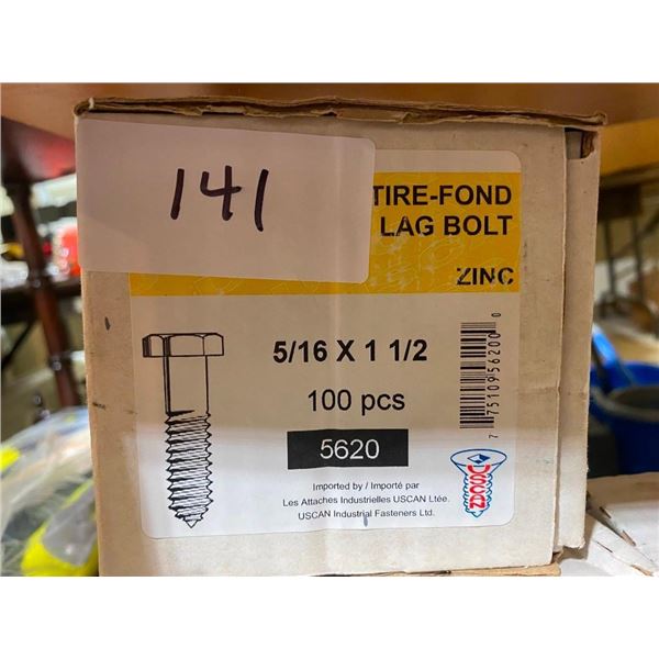 100 LAG BOLTS