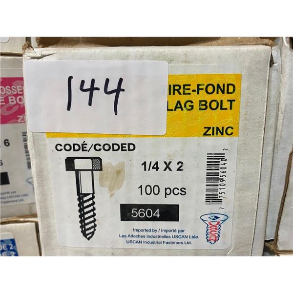 100 LAG BOLTS