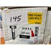 Image 1 : 100 LAG BOLTS
