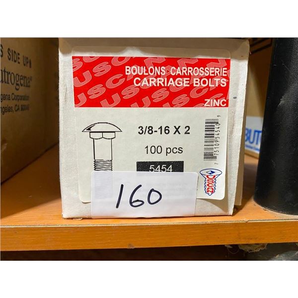 100 CARRIAGE BOLTS