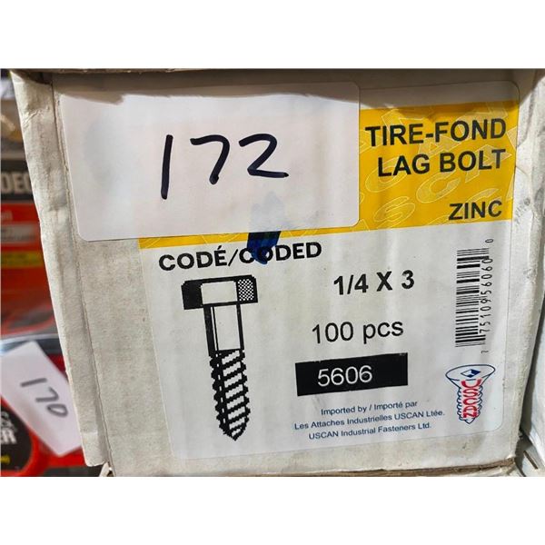 100 LAG BOLTS