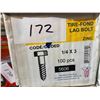 Image 1 : 100 LAG BOLTS