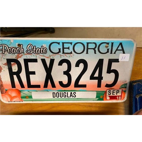 GEORGIA US LICENSE PLATE