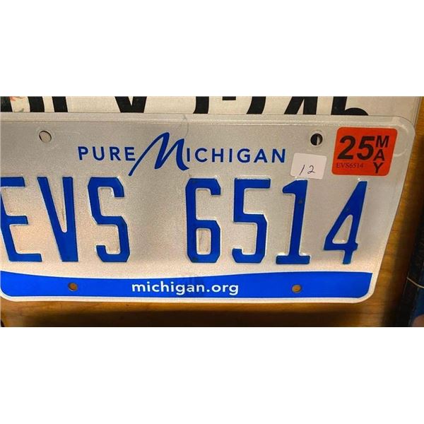 MICHIGAN US LICENSE PLATE