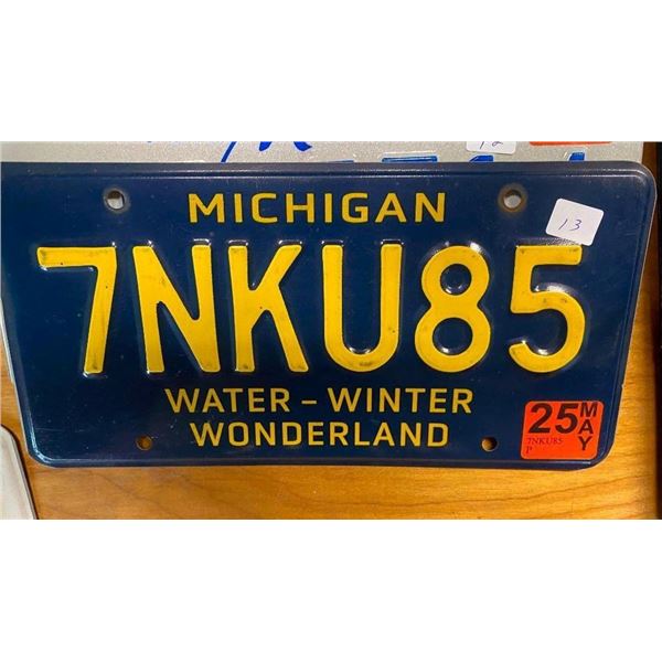 MICHIGAN US LICENSE PLATE