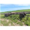 Image 1 : AM Hay Trailer w/ Steel Rack, 25 Ft, 11 Bale, 920 Tires, Auto Steer