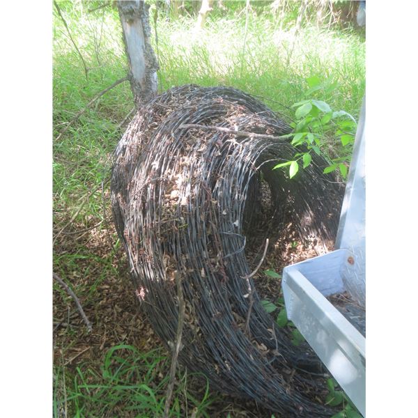 Barbed Wire