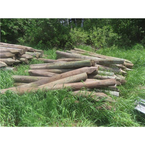 40 Treated Sharpened Corral Fence Posts, 8 Ft Long, 5-8" Dia