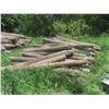 Image 1 : 40 Treated Sharpened Corral Fence Posts, 8 Ft Long, 5-8" Dia