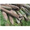 Image 2 : 40 Treated Sharpened Corral Fence Posts, 8 Ft Long, 5-8" Dia