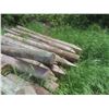 Image 3 : 40 Treated Sharpened Corral Fence Posts, 8 Ft Long, 5-8" Dia