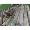 Image 5 : 40 Treated Sharpened Corral Fence Posts, 8 Ft Long, 5-8" Dia