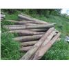 Image 6 : 40 Treated Sharpened Corral Fence Posts, 8 Ft Long, 5-8" Dia