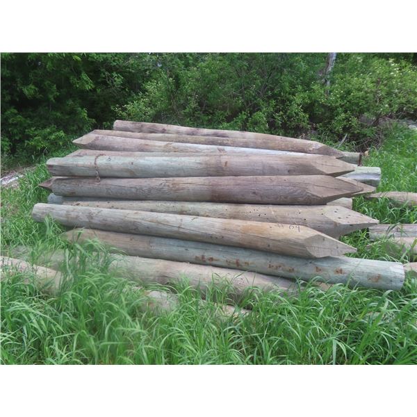 54 Treated Sharpened Corral Posts, 5-8" x 8 Ft Long