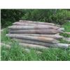Image 1 : 54 Treated Sharpened Corral Posts, 5-8" x 8 Ft Long
