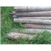Image 2 : 54 Treated Sharpened Corral Posts, 5-8" x 8 Ft Long