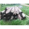Image 3 : 54 Treated Sharpened Corral Posts, 5-8" x 8 Ft Long