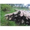 Image 4 : 54 Treated Sharpened Corral Posts, 5-8" x 8 Ft Long