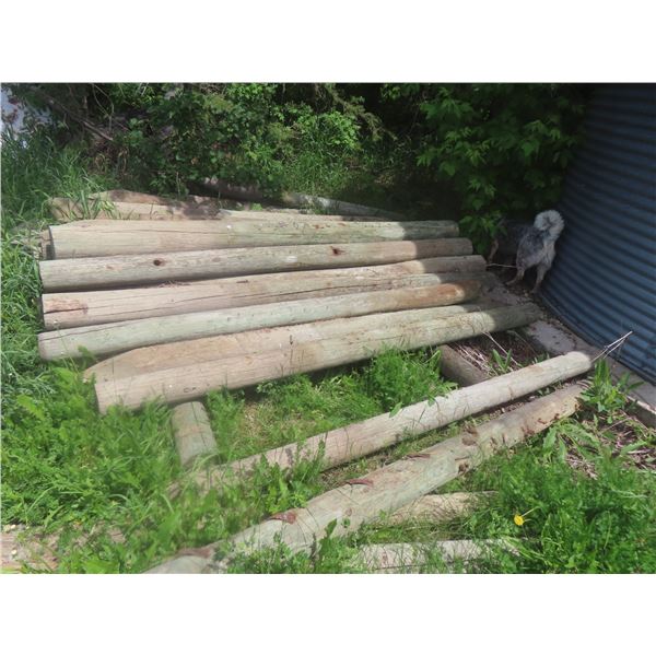 34 Treated Corral Posts, 8 Ft