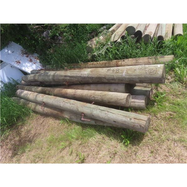 10 Treated Corral Posts, 10 Ft