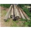 Image 2 : 10 Treated Corral Posts, 10 Ft