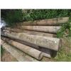 Image 3 : 10 Treated Corral Posts, 10 Ft