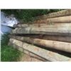 Image 5 : 10 Treated Corral Posts, 10 Ft