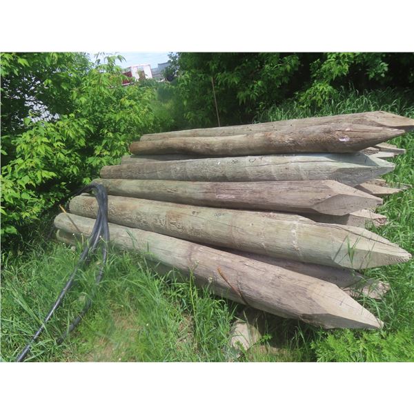 40 Treated and Sharpened Corral Posts, 8 Ft