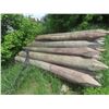Image 1 : 40 Treated and Sharpened Corral Posts, 8 Ft