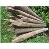 Image 5 : 40 Treated and Sharpened Corral Posts, 8 Ft