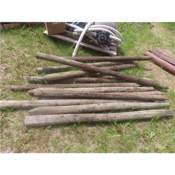 10 Fence Posts, 6 Ft
