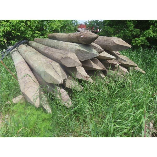 50 Treated Corral Posts, 8 Ft