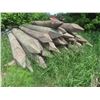 Image 1 : 50 Treated Corral Posts, 8 Ft