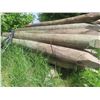 Image 3 : 50 Treated Corral Posts, 8 Ft