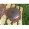 Image 3 : Disc Blades - 33 Blades, 28 Notched and 5 Smooth