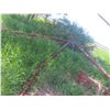 Image 19 : Kello-Bilt Series 210 Tandem Disc, 20 Ft, Notched Front and Back