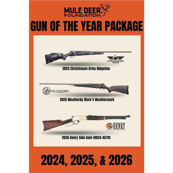 Gun of the Year Set, 3 Guns!