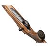 Image 8 : Gun of the Year Set, 3 Guns!