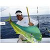 Image 1 : Florida Keys Guided Shark, Grouper, and Snapper Fishing Trip for 4, Full Day