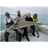 Image 4 : Florida Keys Guided Shark, Grouper, and Snapper Fishing Trip for 4, Full Day
