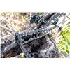Image 5 : Hoyt Carbon RX - 10 Ultra, USA 250th Anniversary Edition