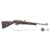 Image 1 : Ruger Carbine 10/22 250th Anniversary