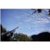 Image 8 : Argentina Dove Hunt for 4 hunters, at Sierra Brava Lodge - Córdoba, Argentina