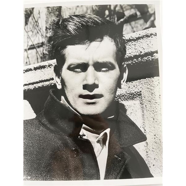 Martin Sheen vintage photo